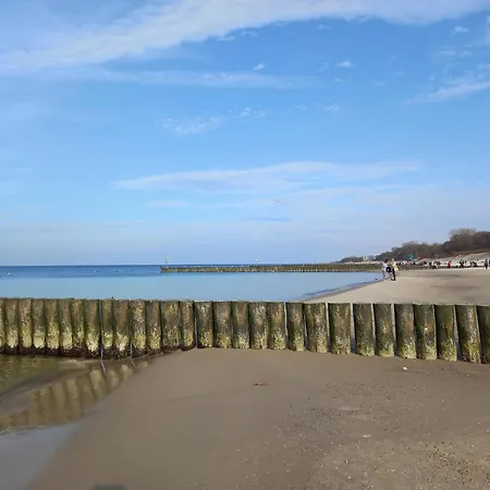 Flora - Z Aneksem I Klimatyzacja, Basen Netflix